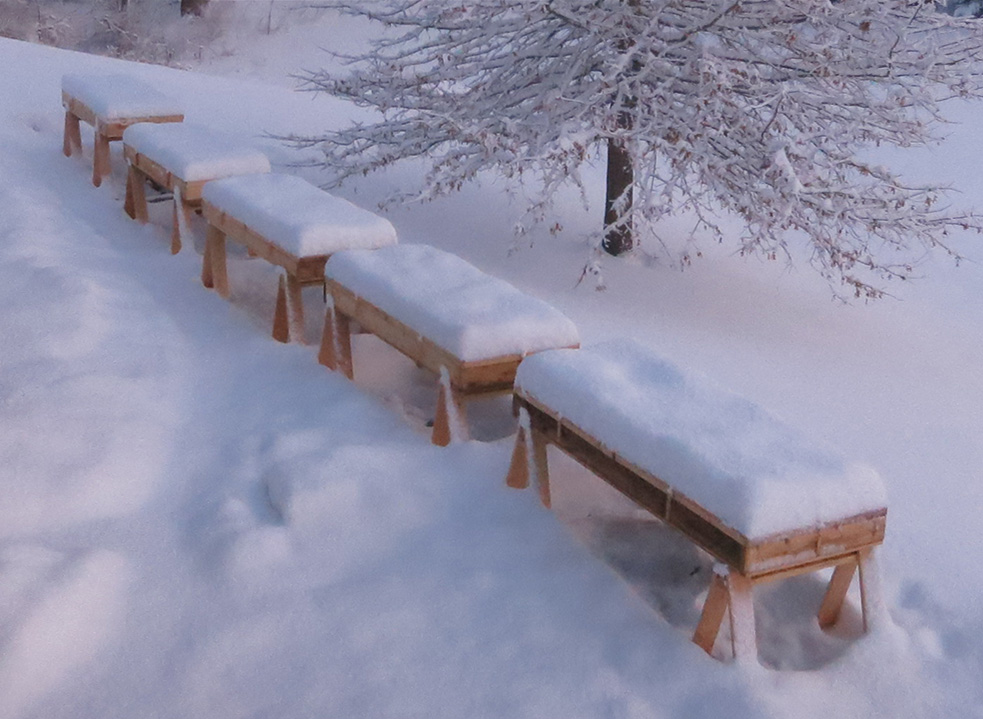tree seedling racks holding heravy snow